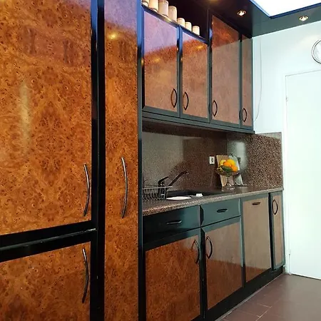 Apartment Penthouse Dondukov *